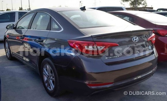 Hividy Hyundai Sonata Brown Car in Import - Dubai in Diana Hividy Hyundai Sonata Brown Car in Import - Dubai in Diana