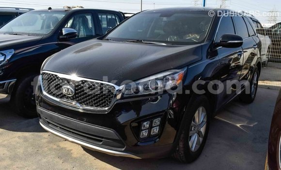 Hividy Kia Sorento Black Car in Import - Dubai in Diana Hividy Kia Sorento Black Car in Import - Dubai in Diana
