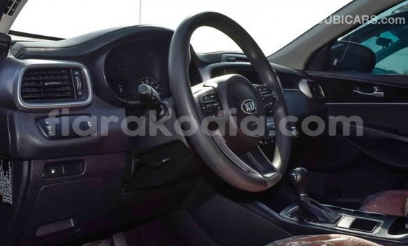 Hividy Kia Sorento Black Car in Import - Dubai in Diana Hividy Kia Sorento Black Car in Import - Dubai in Diana