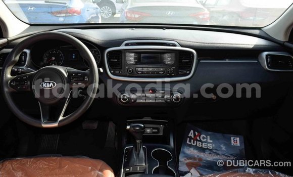 Hividy Kia Sorento Black Car in Import - Dubai in Diana Hividy Kia Sorento Black Car in Import - Dubai in Diana