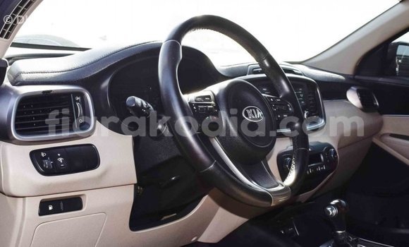 Hividy Kia Sorento Brown Car in Import - Dubai in Diana Hividy Kia Sorento Brown Car in Import - Dubai in Diana