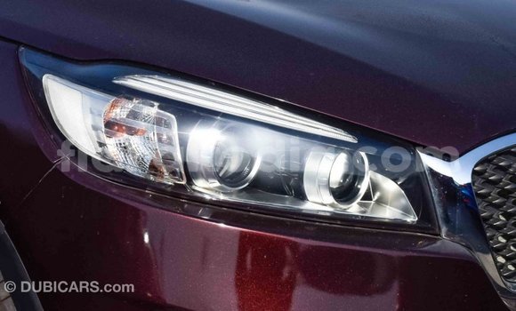 Hividy Kia Sorento Brown Car in Import - Dubai in Diana Hividy Kia Sorento Brown Car in Import - Dubai in Diana