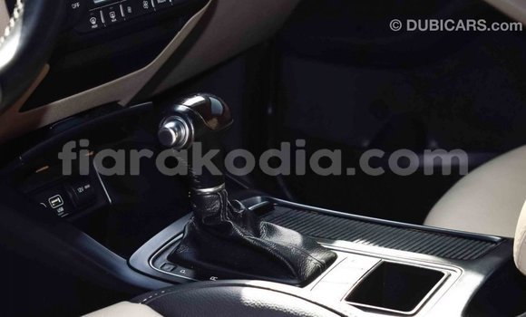 Hividy Kia Sorento Brown Car in Import - Dubai in Diana Hividy Kia Sorento Brown Car in Import - Dubai in Diana