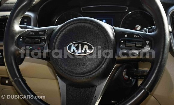 Hividy Kia Sorento Brown Car in Import - Dubai in Diana Hividy Kia Sorento Brown Car in Import - Dubai in Diana