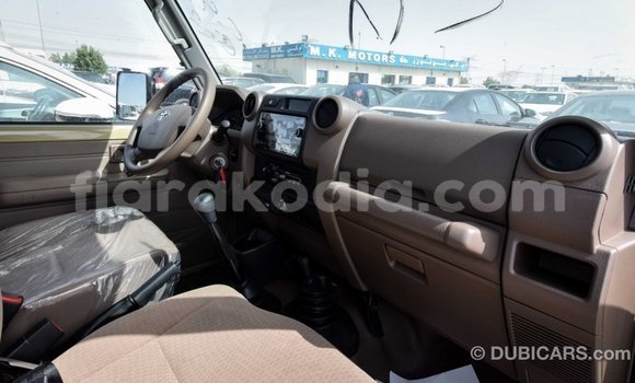 Hividy Toyota Land Cruiser beige Car in Import - Dubai in Diana Hividy Toyota Land Cruiser beige Car in Import - Dubai in Diana