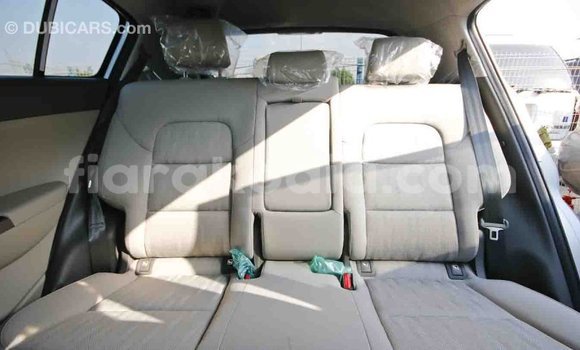 Hividy Kia Sportage Hafa Car in Import - Dubai in Diana Hividy Kia Sportage Hafa Car in Import - Dubai in Diana