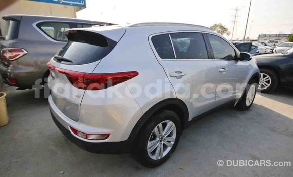 Hividy Kia Sportage Hafa Car in Import - Dubai in Diana Hividy Kia Sportage Hafa Car in Import - Dubai in Diana