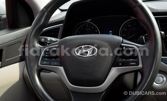 Hividy Hyundai Elantra Hafa Car in Import - Dubai in Diana Hividy Hyundai Elantra Hafa Car in Import - Dubai in Diana