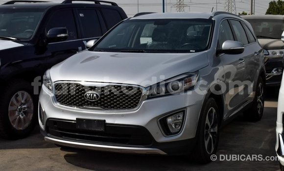 Hividy Kia Sorento Hafa Car in Import - Dubai in Diana Hividy Kia Sorento Hafa Car in Import - Dubai in Diana