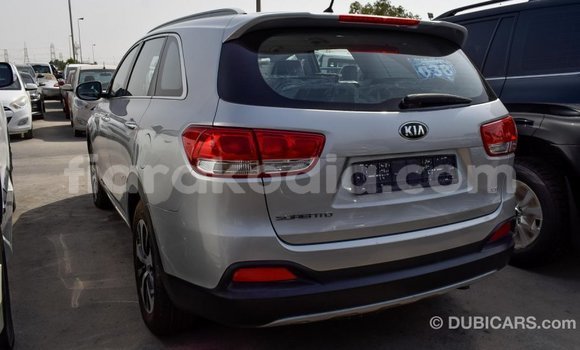 Hividy Kia Sorento Hafa Car in Import - Dubai in Diana Hividy Kia Sorento Hafa Car in Import - Dubai in Diana