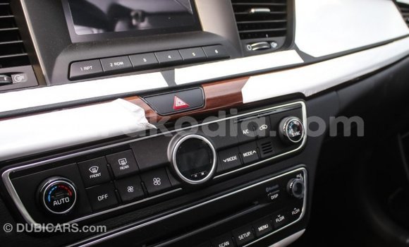 Hividy Kia Cadenza Hafa Car in Import - Dubai in Diana Hividy Kia Cadenza Hafa Car in Import - Dubai in Diana