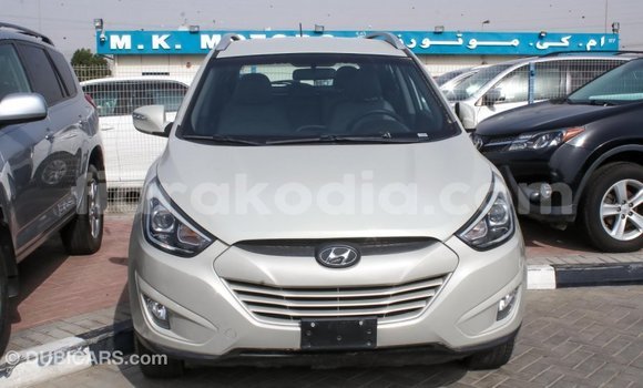 Hividy Hyundai Tucson beige Car in Import - Dubai in Diana Hividy Hyundai Tucson beige Car in Import - Dubai in Diana
