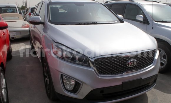 Hividy Kia Sorento Hafa Car in Import - Dubai in Diana Hividy Kia Sorento Hafa Car in Import - Dubai in Diana