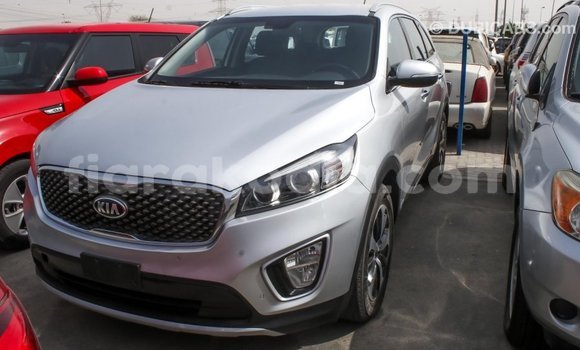Hividy Kia Sorento Hafa Car in Import - Dubai in Diana Hividy Kia Sorento Hafa Car in Import - Dubai in Diana