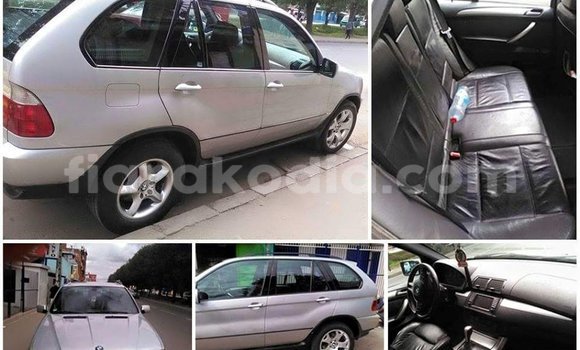 Acheter Occasion Voiture BMW X5 Gris à Antananarivo, Analamanga