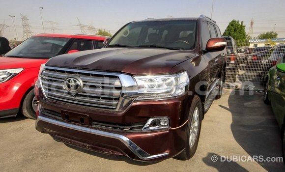 Hividy Toyota Land Cruiser Brown Car in Import - Dubai in Diana Hividy Toyota Land Cruiser Brown Car in Import - Dubai in Diana