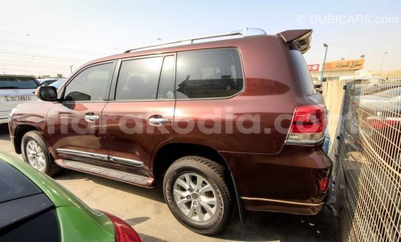 Hividy Toyota Land Cruiser Brown Car in Import - Dubai in Diana Hividy Toyota Land Cruiser Brown Car in Import - Dubai in Diana