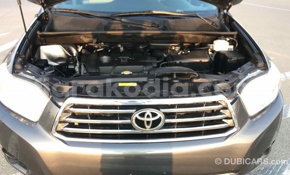 Hividy Toyota Highlander Hafa Car in Import - Dubai in Diana Hividy Toyota Highlander Hafa Car in Import - Dubai in Diana