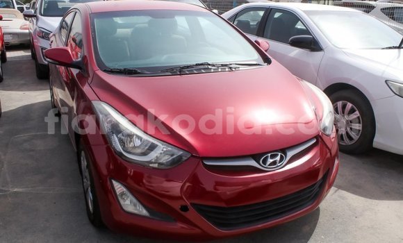Hividy Hyundai Elantra Red Car in Import - Dubai in Diana Hividy Hyundai Elantra Red Car in Import - Dubai in Diana