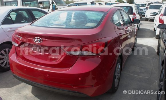 Hividy Hyundai Elantra Red Car in Import - Dubai in Diana Hividy Hyundai Elantra Red Car in Import - Dubai in Diana