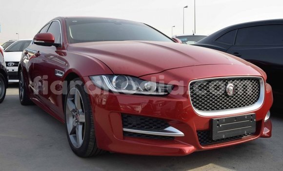 Acheter Import Voiture Jaguar XE Rouge à Import - Dubai, Diana