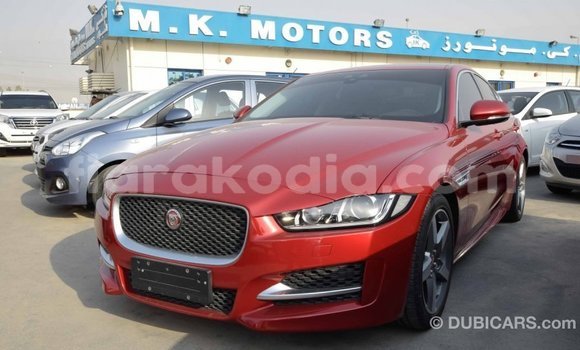 Hividy Jaguar XE Red Car in Import - Dubai in Diana Hividy Jaguar XE Red Car in Import - Dubai in Diana