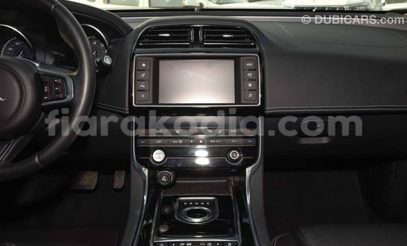 Hividy Jaguar XE Red Car in Import - Dubai in Diana Hividy Jaguar XE Red Car in Import - Dubai in Diana