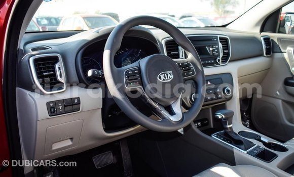 Hividy Kia Sportage Red Car in Import - Dubai in Diana Hividy Kia Sportage Red Car in Import - Dubai in Diana