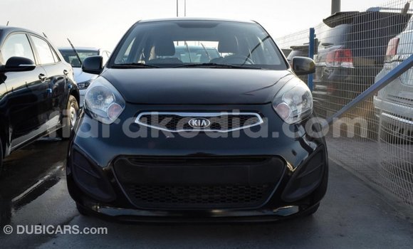 Hividy Kia Picanto Black Car in Import - Dubai in Diana Hividy Kia Picanto Black Car in Import - Dubai in Diana
