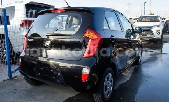 Hividy Kia Picanto Black Car in Import - Dubai in Diana Hividy Kia Picanto Black Car in Import - Dubai in Diana