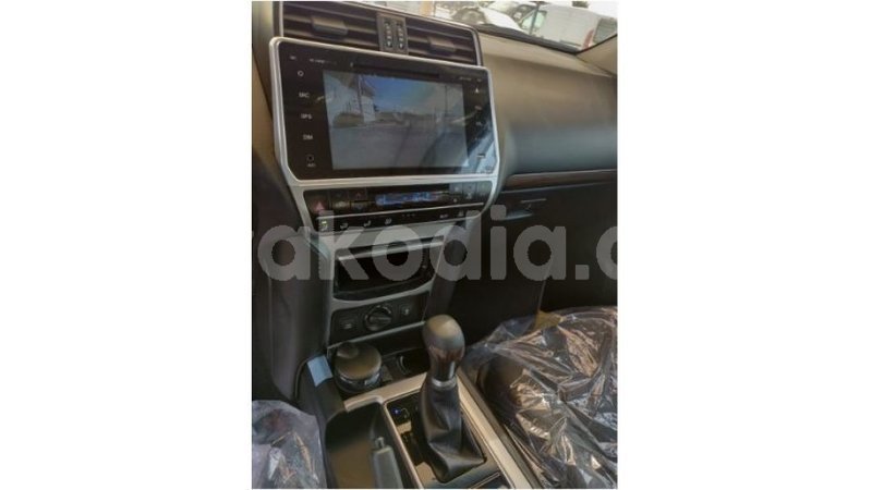 Big with watermark toyota prado diana import dubai 4222