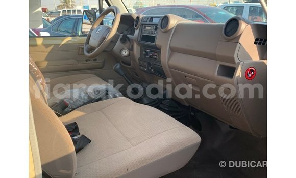 Hividy Toyota Land Cruiser beige Car in Import - Dubai in Diana Hividy Toyota Land Cruiser beige Car in Import - Dubai in Diana