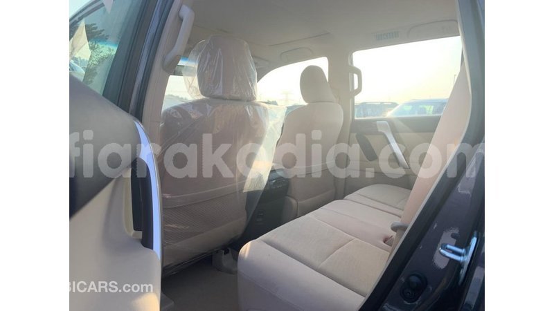 Big with watermark toyota prado diana import dubai 4269