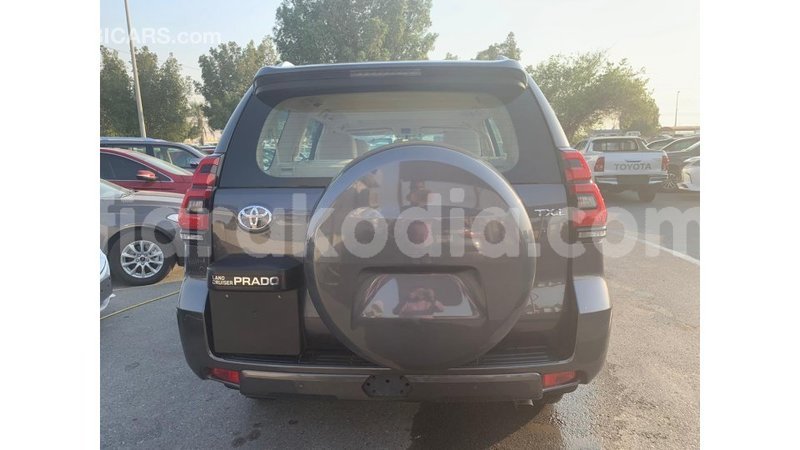 Big with watermark toyota prado diana import dubai 4269