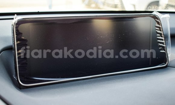 Acheter Import Voiture Lexus RX 300 Blanc à Import - Dubai, Diana Acheter Import Voiture Lexus RX 300 Blanc à Import - Dubai, Diana