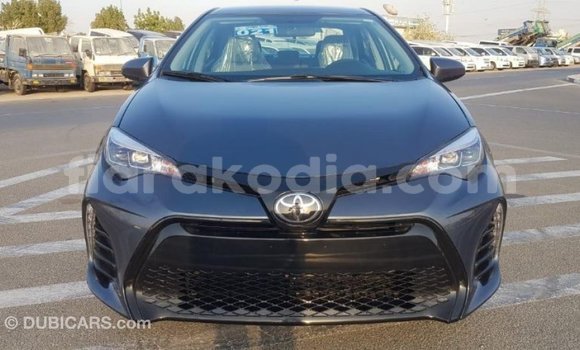 Buy Import Toyota Corolla Other Car in Import - Dubai in Diana Buy Import Toyota Corolla Other Car in Import - Dubai in Diana
