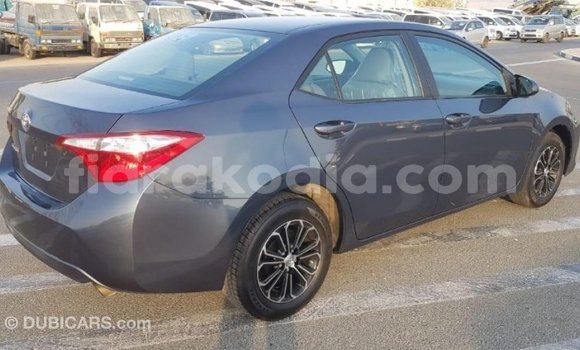 Buy Import Toyota Corolla Other Car in Import - Dubai in Diana Buy Import Toyota Corolla Other Car in Import - Dubai in Diana