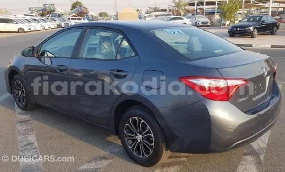 Buy Import Toyota Corolla Other Car in Import - Dubai in Diana Buy Import Toyota Corolla Other Car in Import - Dubai in Diana