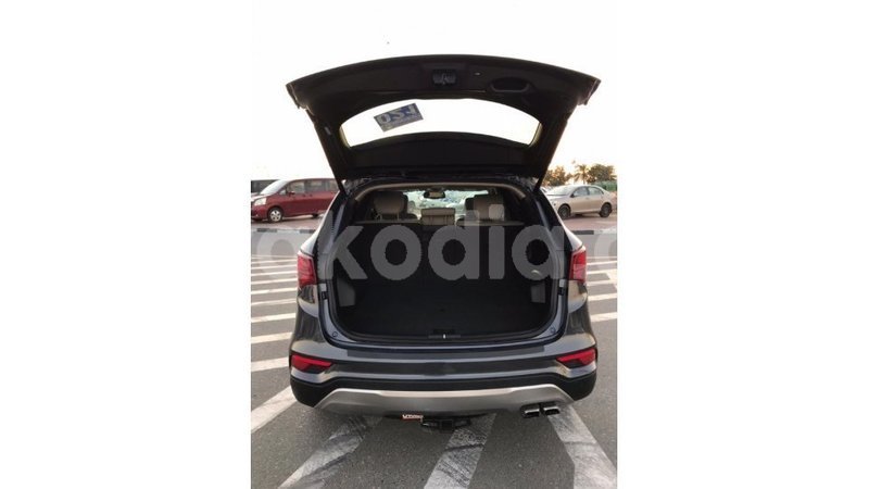 Big with watermark hyundai santa fe diana import dubai 4318