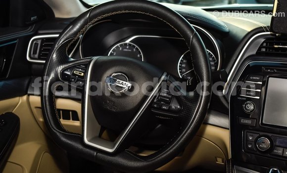 Hividy Nissan Maxima fotsy Car in Import - Dubai in Diana Hividy Nissan Maxima fotsy Car in Import - Dubai in Diana