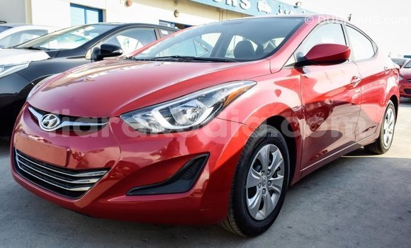 Hividy Hyundai Elantra Red Car in Import - Dubai in Diana Hividy Hyundai Elantra Red Car in Import - Dubai in Diana