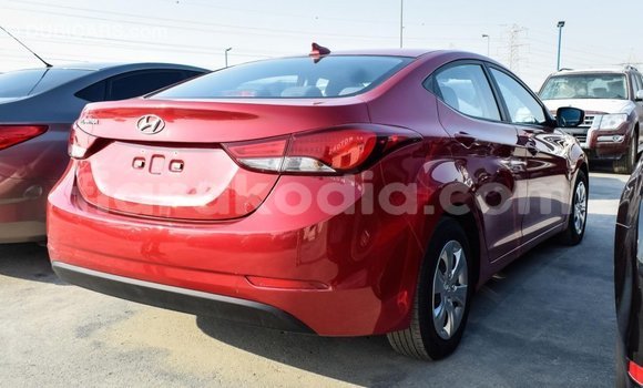 Hividy Hyundai Elantra Red Car in Import - Dubai in Diana Hividy Hyundai Elantra Red Car in Import - Dubai in Diana