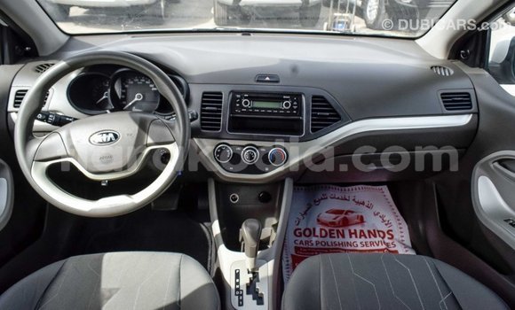 Hividy Kia Picanto fotsy Car in Import - Dubai in Diana Hividy Kia Picanto fotsy Car in Import - Dubai in Diana