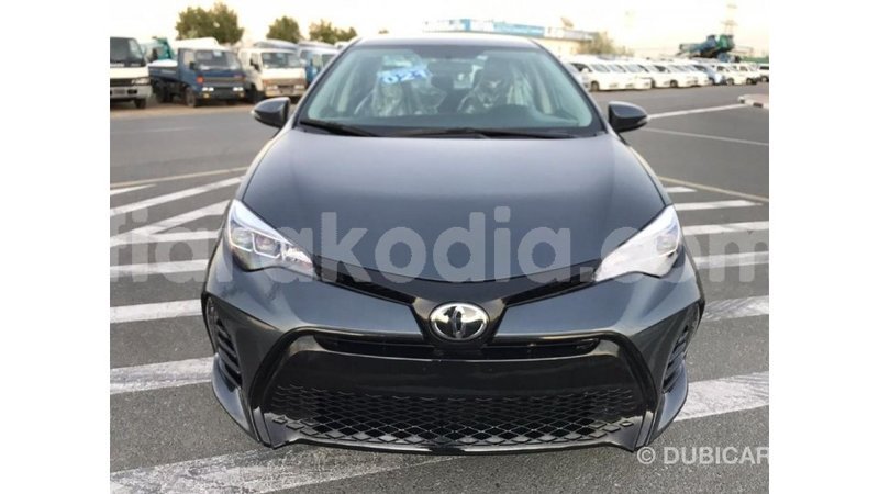 Big with watermark toyota corolla diana import dubai 4392