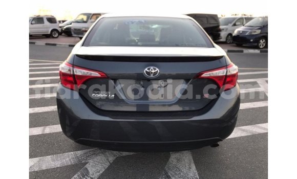 Hividy Toyota Corolla Hafa Car in Import - Dubai in Diana Hividy Toyota Corolla Hafa Car in Import - Dubai in Diana