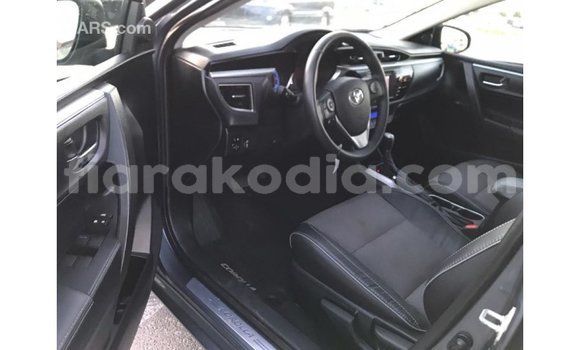 Hividy Toyota Corolla Hafa Car in Import - Dubai in Diana Hividy Toyota Corolla Hafa Car in Import - Dubai in Diana