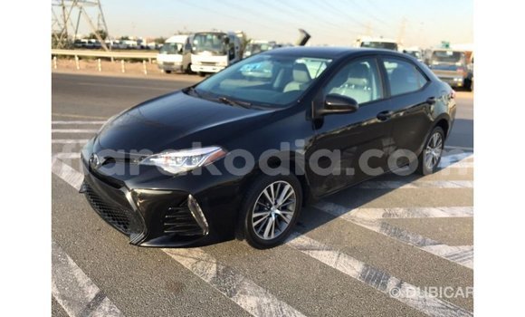 Hividy Toyota Corolla Black Car in Import - Dubai in Diana Hividy Toyota Corolla Black Car in Import - Dubai in Diana