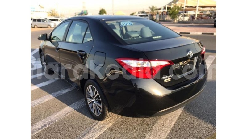 Big with watermark toyota corolla diana import dubai 4398