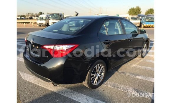 Hividy Toyota Corolla Black Car in Import - Dubai in Diana Hividy Toyota Corolla Black Car in Import - Dubai in Diana