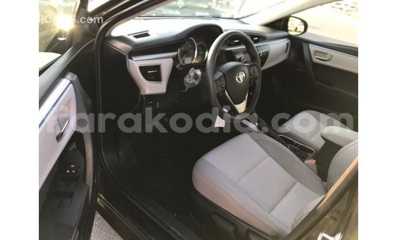 Hividy Toyota Corolla Black Car in Import - Dubai in Diana Hividy Toyota Corolla Black Car in Import - Dubai in Diana